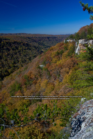 Fall colors at the New River Gorge Bridge
